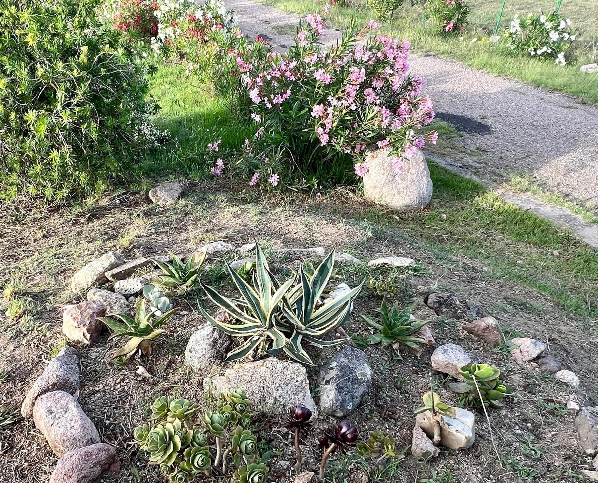 Stazzo La Foci Soluzioni Vista Mare Vila Aglientu Exterior foto